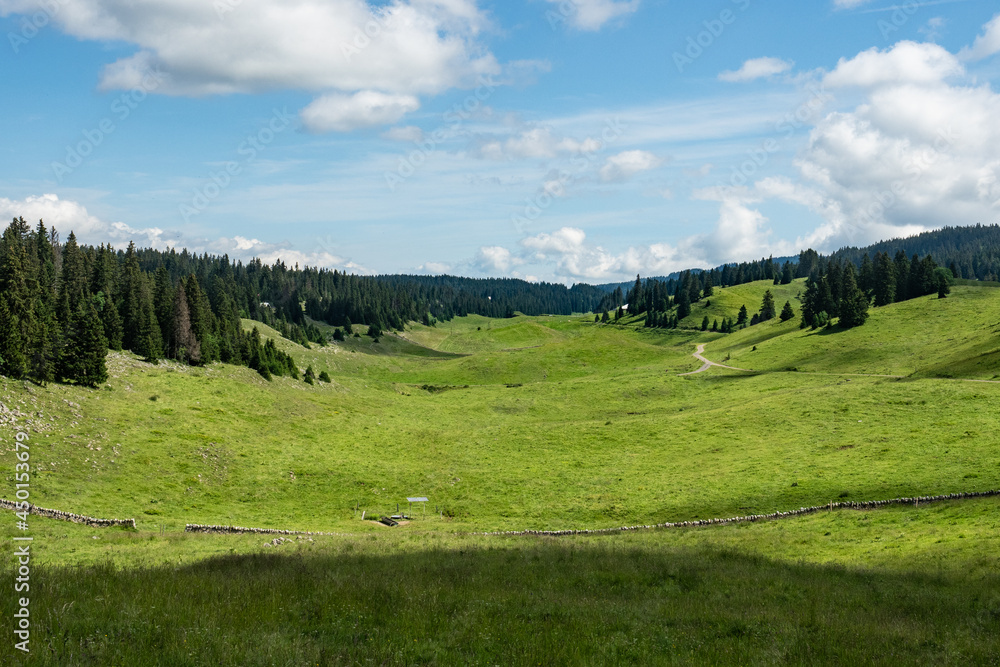 Grassland in the Jura mountains, Switzerland. A wide valley on a beautiful summer day.