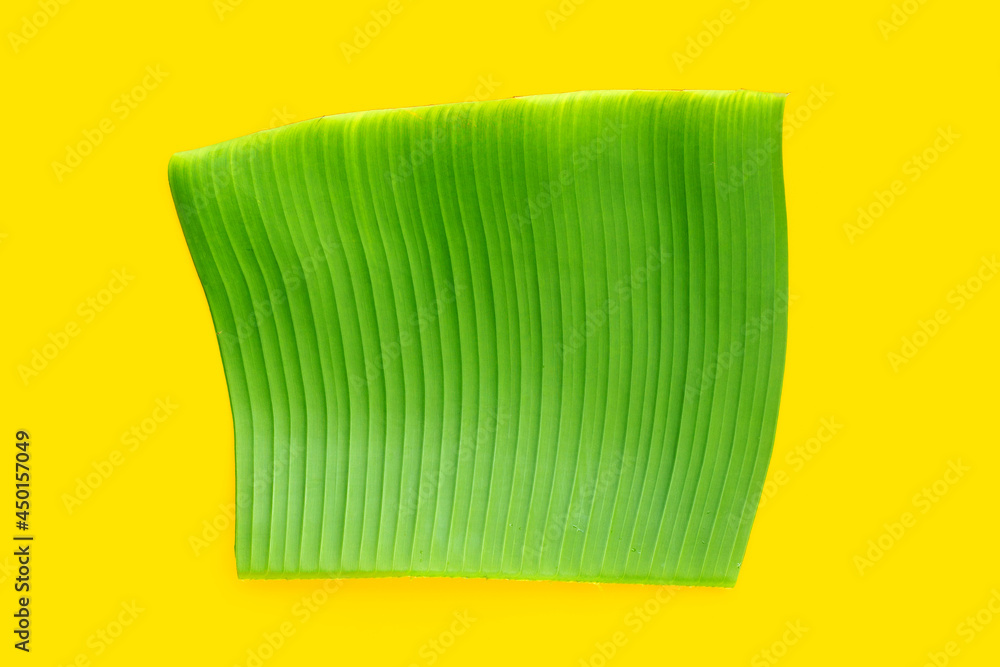 Banana green leaf on yellow background. Banana green leaf on yellow background.