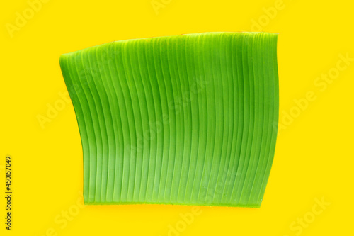 Banana green leaf on yellow background.
