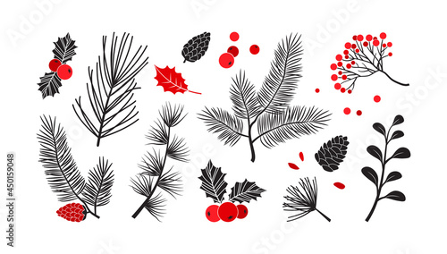 Christmas vector plants, holly winter decor, christmas tree, pine, leaves branches, holiday set isolated on white background. Red and black colors. Vintage nature illustration
