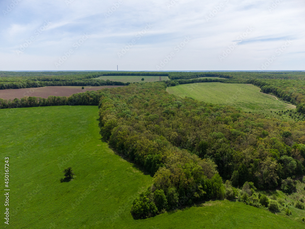 Obraz premium Green summer rural landscape with vibrant agriculture fields, pasture and forest around. Aerial countryside on sunny day
