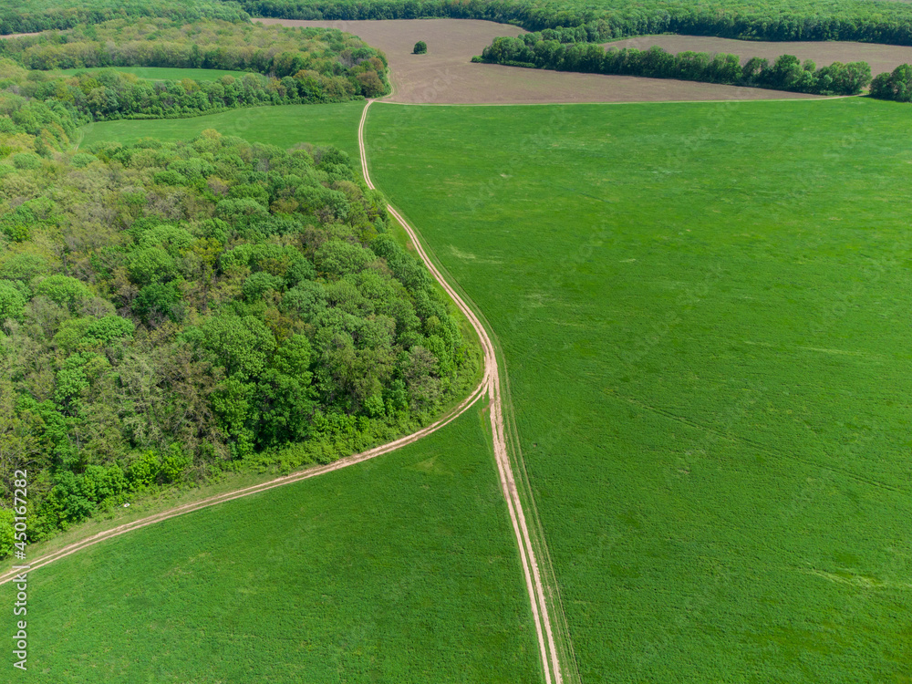 Obraz premium Green summer rural landscape with vibrant pasture, dirt fields and road lines, and forest around. Aerial countryside on sunny day
