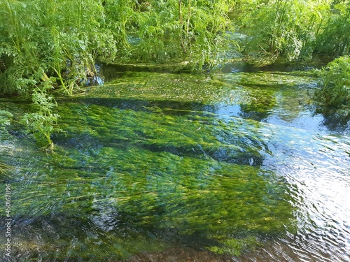 Фотография Aguas del río Parga en Guitiriz, Galicia