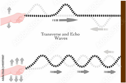 Transverse waves, echo diagram. Spring stretched, longitudinal. Making waves. Periodic formation speed. Battle rope, chain. Crests, troughs, wavelength. Physics, sports graphic. Vector illustration