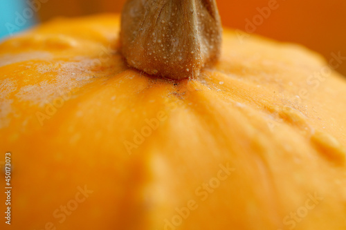 Orange pumpkin close-up. Macro photo  shallow depth of field.