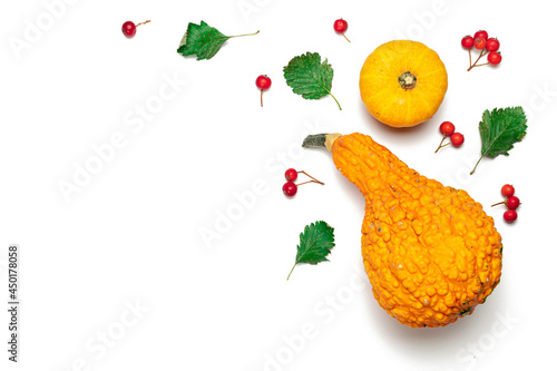 Fototapeta Naklejka Na Ścianę i Meble -  Autumn pattern. Natural food, harvest with orange pumpkin, fall dried leaves, rowan berries isolated on white background. Autumn Thanksgiving day background.