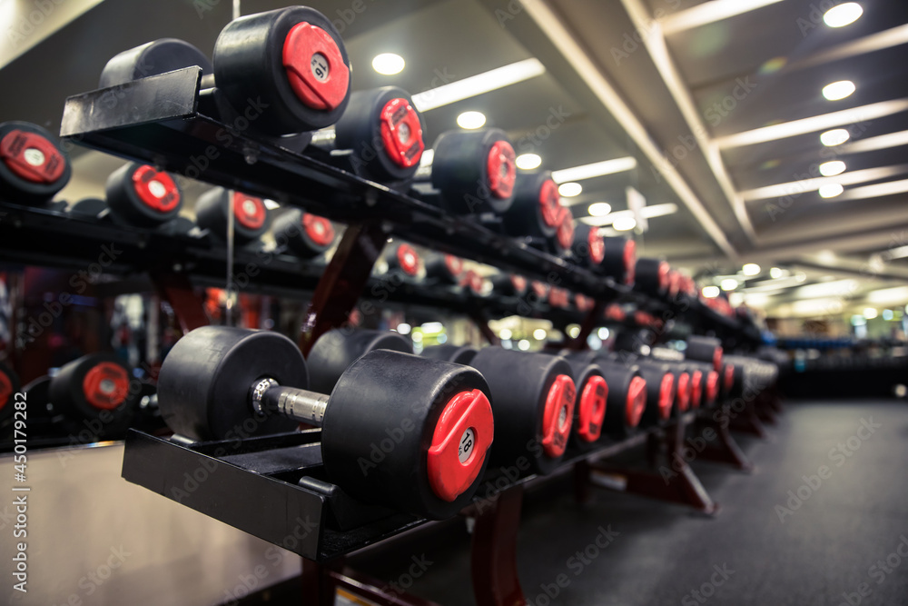 Different dumbbells in modern gym Different dumbbells in modern gym