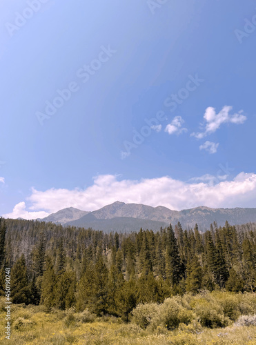 View from the bottom of the mountain