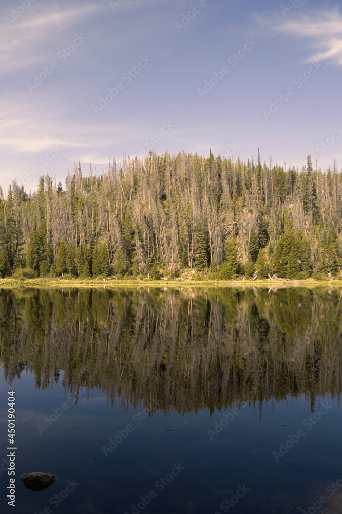 Reflection on the mountain lake