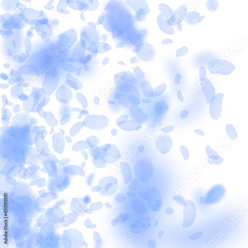 Dark blue flower petals falling down. Delicate rom