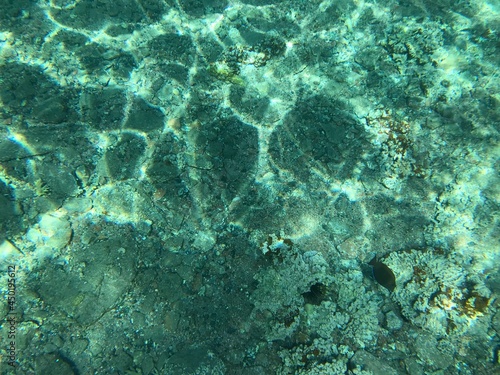 Underwater recordings in Aqaba Jordan Coral with colored fish