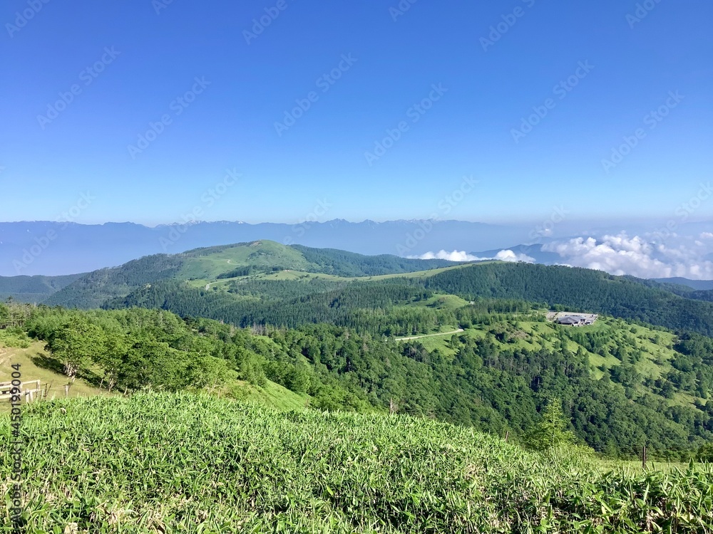 Fototapeta premium Scenery of Utsukushigahara Plateau in summer at an altitude of 2000m