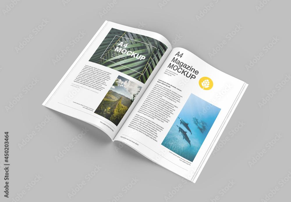 Matte Magazine Mockup Stock Template | Adobe Stock