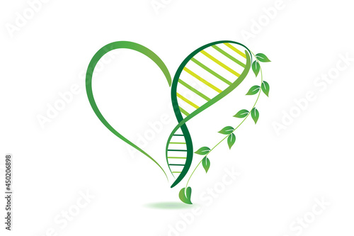 Dna plant concept in a heart shape can refer to alternative medicine, crop gene modification. icon vector image design