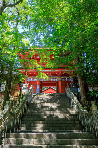                                                    Sumiyoshi shrine in summer Yamaguchi-ken Shimonoseki city