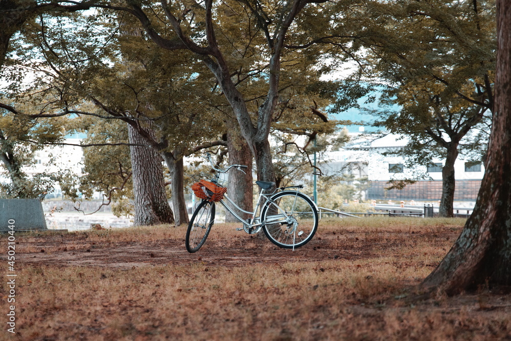 木と自転車