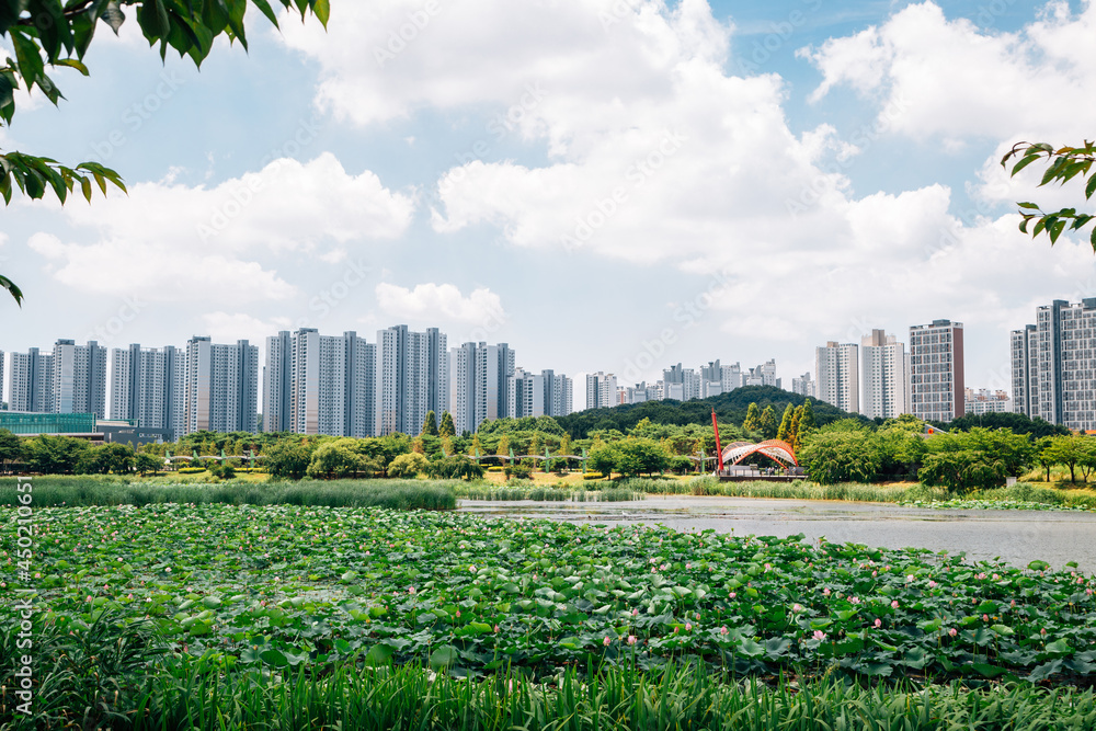 Photo inspiration: Fresh Look at Hwarang Recreation Area Park And Modern Apartment Buildings At Summer