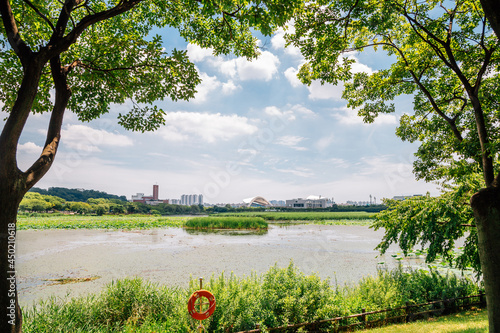 Summer of Hwarang Recreation Area park in Ansan, Korea photo