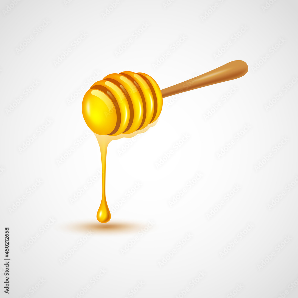 Honey dipper on white background. vector illustration Honey dipper on white background. vector illustration
