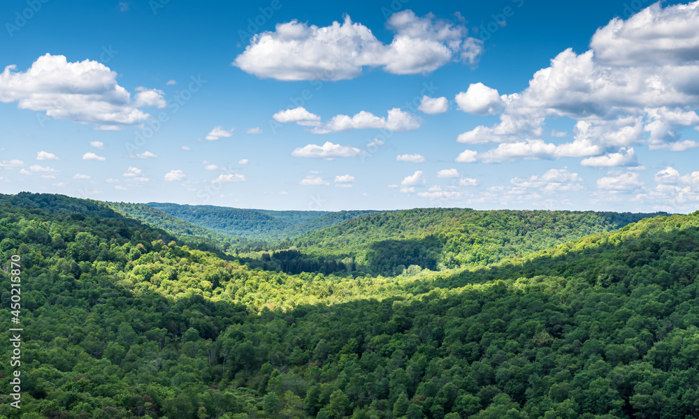 Overlooking the Allegheny National Forest in Mt Jewett, Pennsylvania, USA on a sunny summer day Overlooking the Allegheny National Forest in Mt Jewett, Pennsylvania, USA on a sunny summer day