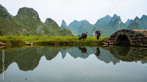 GUILIN, CHINA - SEPT 20, 2017: A farmer walks his buffalo home after a day’s work in Huixiang, a small town with karst and limestone landscape
