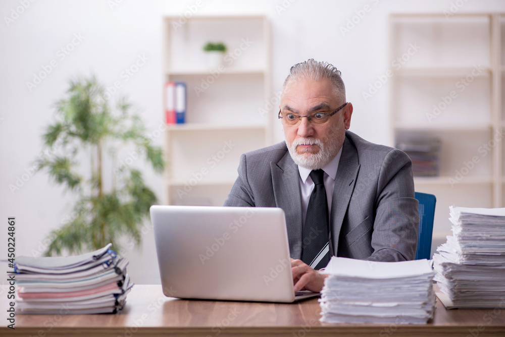 Old male employee working in the office Old male employee working in the office