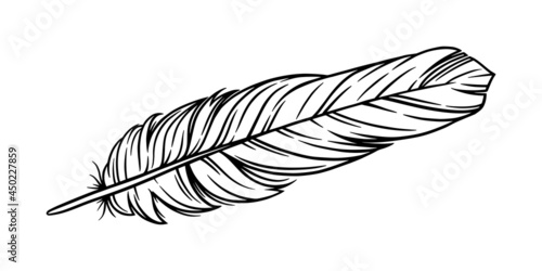Bird feather for a quill. Handwriting feather isolated in white background. Hand drawn vector illustration