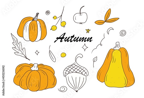 Set of pumpkin and autumn elements, doodle style. Hand drawind illustration photo