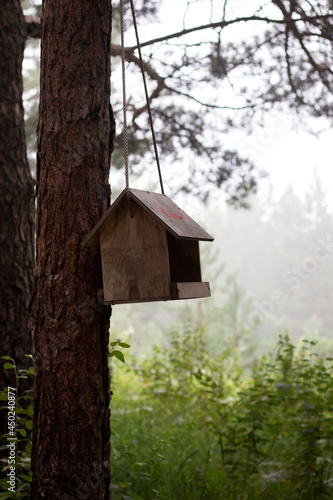 birdhouse on a tree © Екатерина Елисафенко