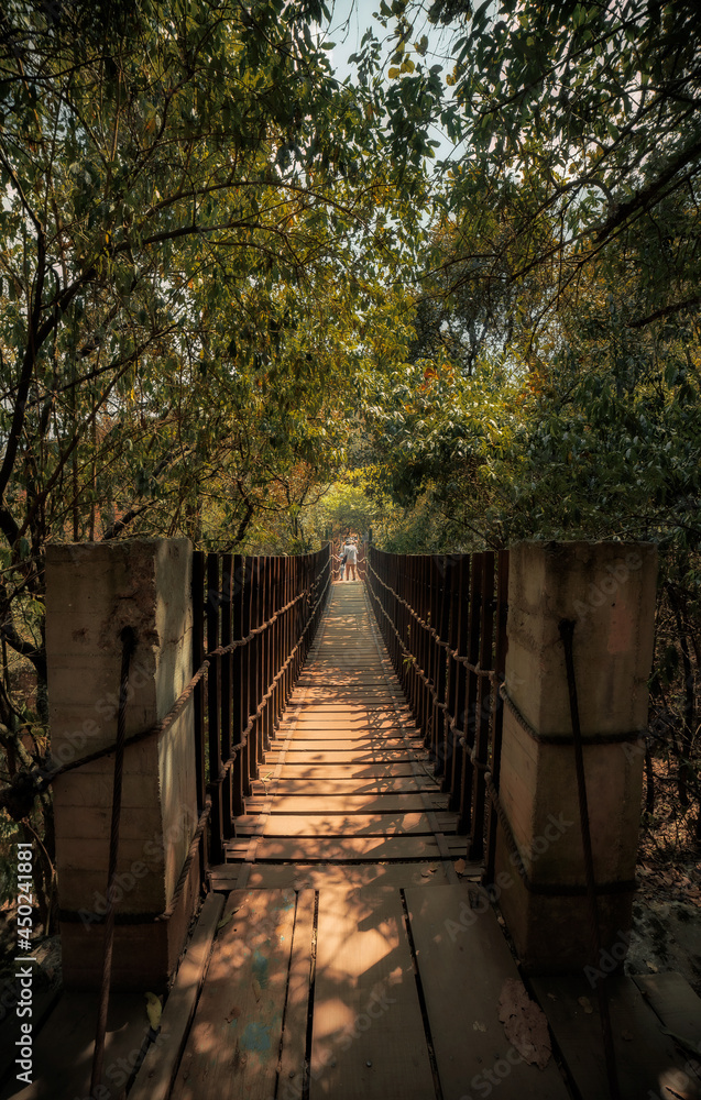 bridge in the park