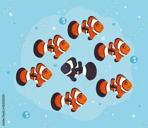 clownfishes set design photo