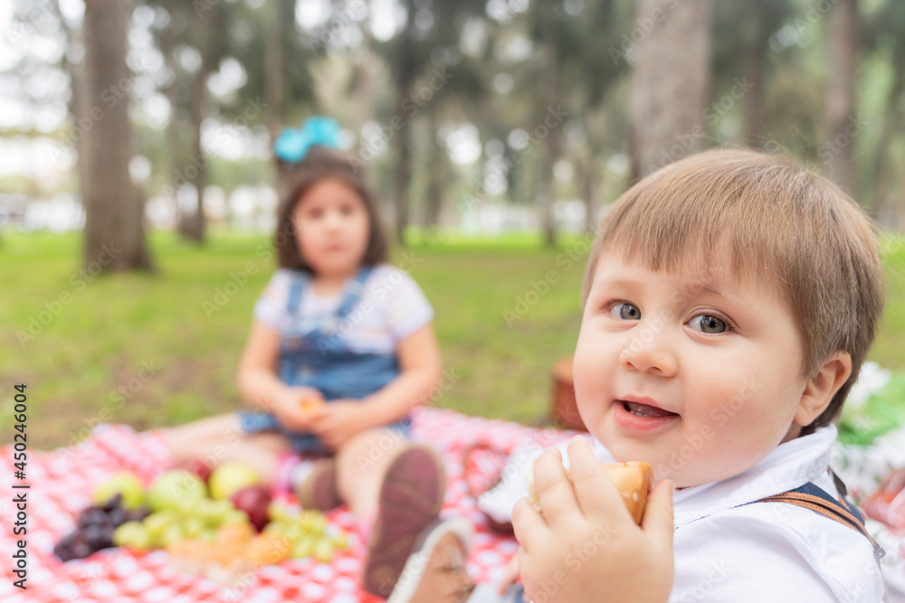 Boy smiling to the camera sitting on a picnic tablecloth with food in a park Boy smiling to the camera sitting on a picnic tablecloth with food in a park