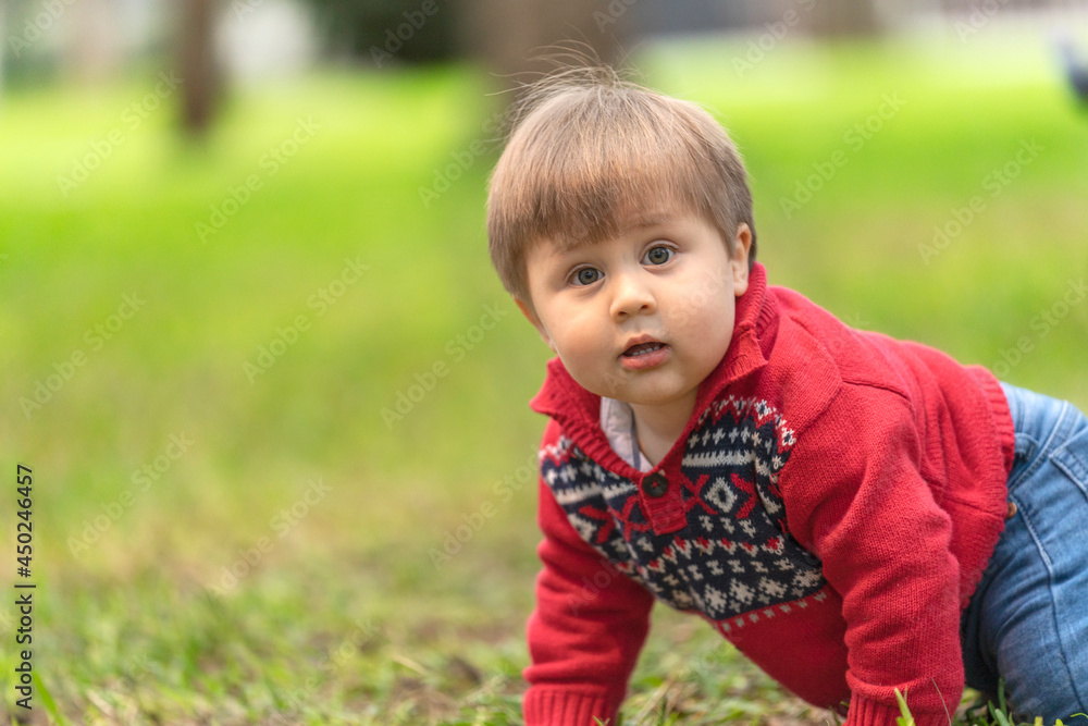 Blond boy looking at the camera while crawling in a park Blond boy looking at the camera while crawling in a park