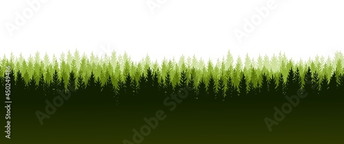 Pine forest. Silhouettes of coniferous trees. Wild landscape horizontally. Nice panoramic view. Beautifully illustration isolated on white background. vector