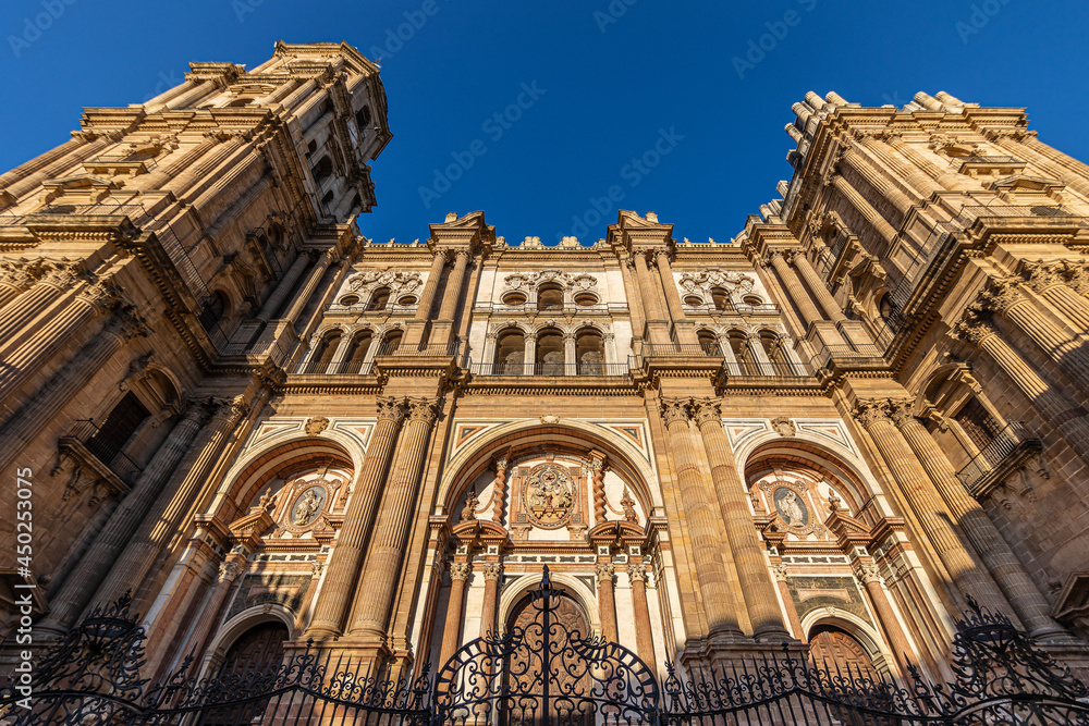 Cover of the Cathedral of Malaga