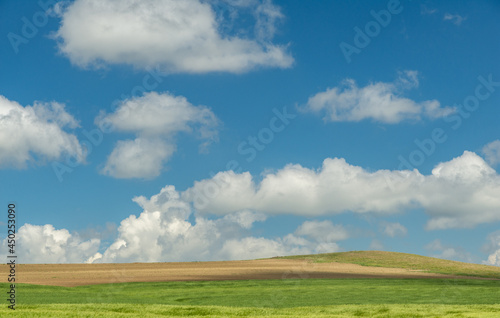 landscape with a hill and blue summer sky with white clouds