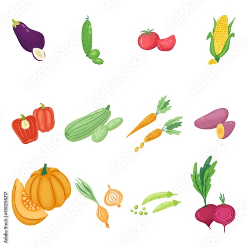 hand drawn vector set. colorful Vegetables 