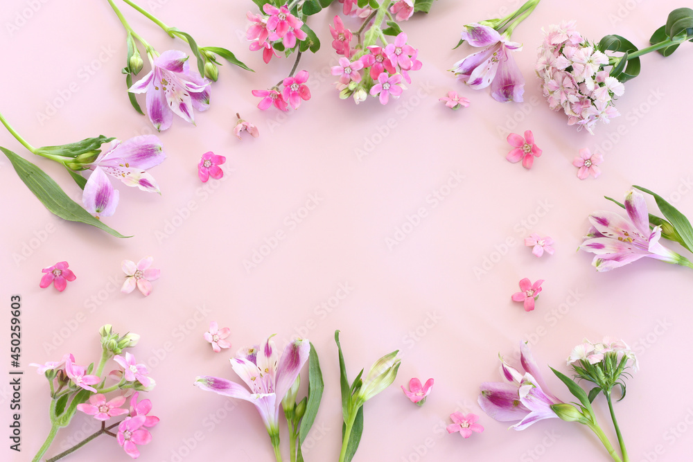 Top view image of pink and purple flowers composition over pastel background .Flat lay