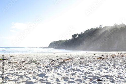 Beach scape in afternoon light