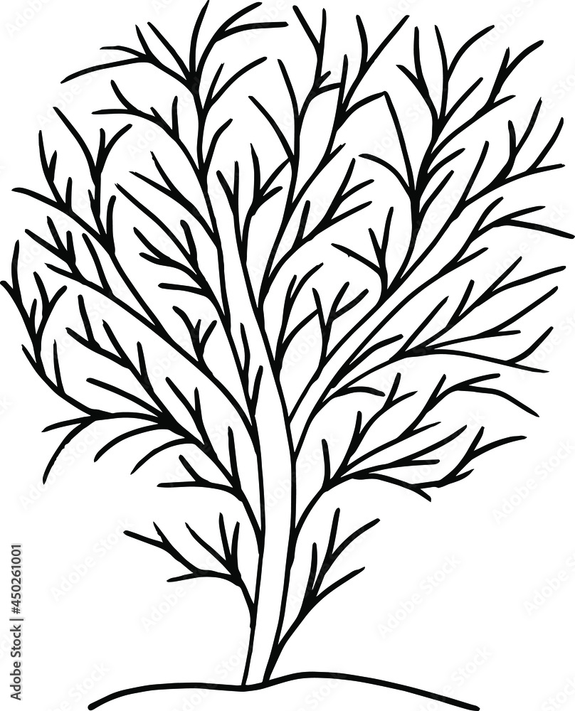 Fototapeta premium A tree made of lines. Tree symbol. Simple vector drawing of a tree.