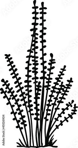 Simple vector drawing of plants. Grass sprouts. For print.