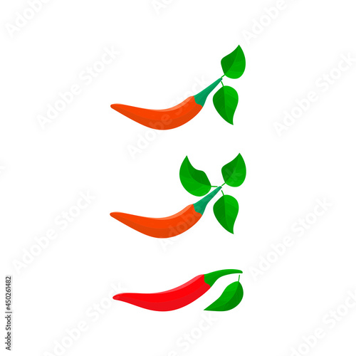 pepper chili with leavesvector illustration photo