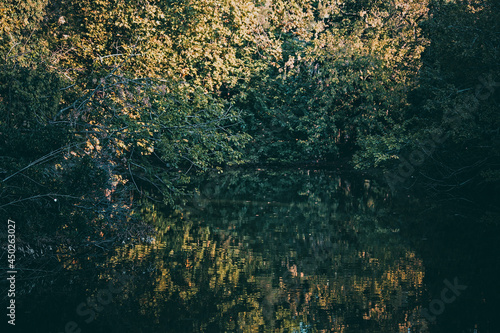 Fototapeta Naklejka Na Ścianę i Meble -  background with water