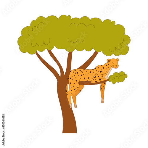 Spotted Cheetah Sitting on Tree Branch as African Animal Vector Illustration