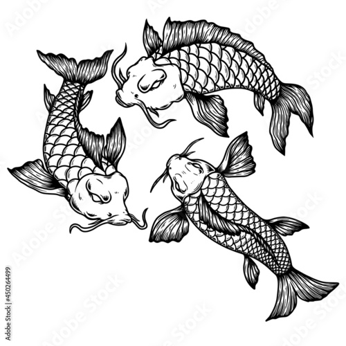 Illustration of carp koi. Design element for poster, card, banner, menu. Vector illustration