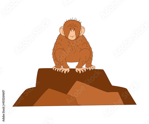 Monkey as African Animal Sitting on Rock Vector Illustration