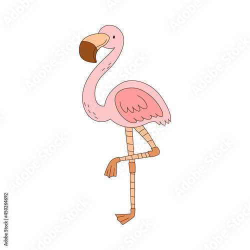 Pink Flamingo with Long Legs as African Bird Vector Illustration