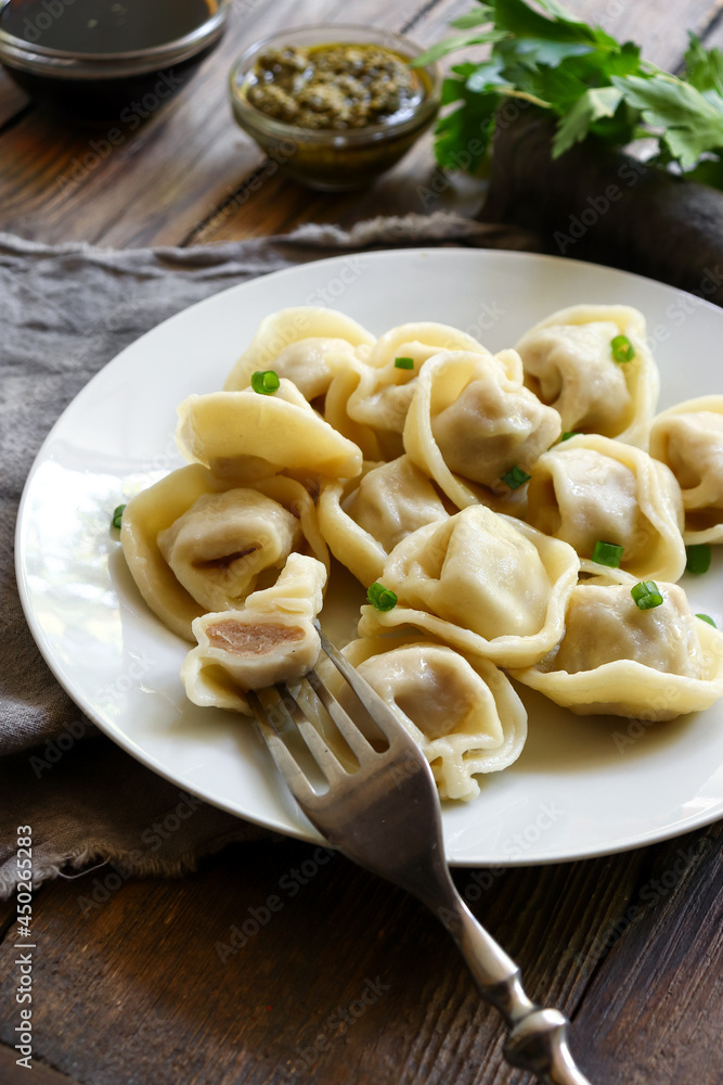 Boiled meat dumplings in a white plate. The concept of a delicious lunch or dinner. Dumplings with green onions. Food and fork. Boiled meat dumplings in a white plate. The concept of a delicious lunch or dinner. Dumplings with green onions. Food and fork.