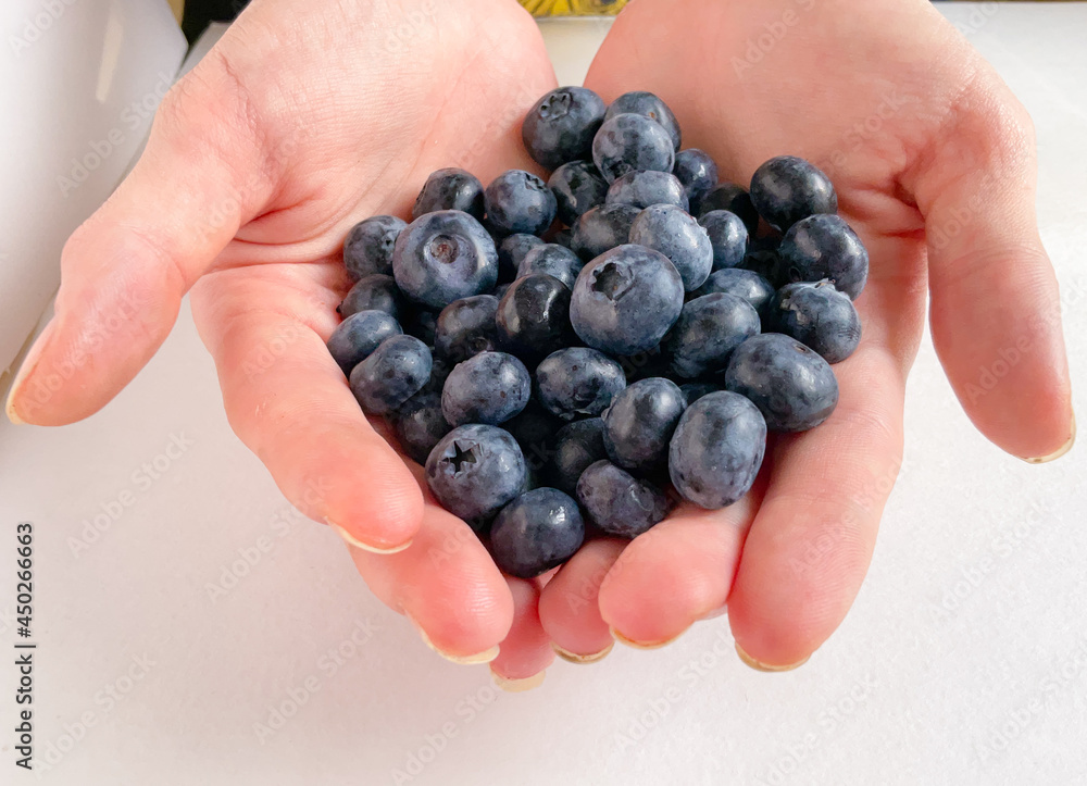 Photo blueberry. Macro huckleberry. Berry in hand women. A handful of berries. Ripe wild berries Photo blueberry. Macro huckleberry. Berry in hand women. A handful of berries. Ripe wild berries
