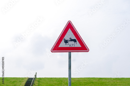 Straßenschild mit Schafen vor einem Deich auf Terschelling, Niederlande